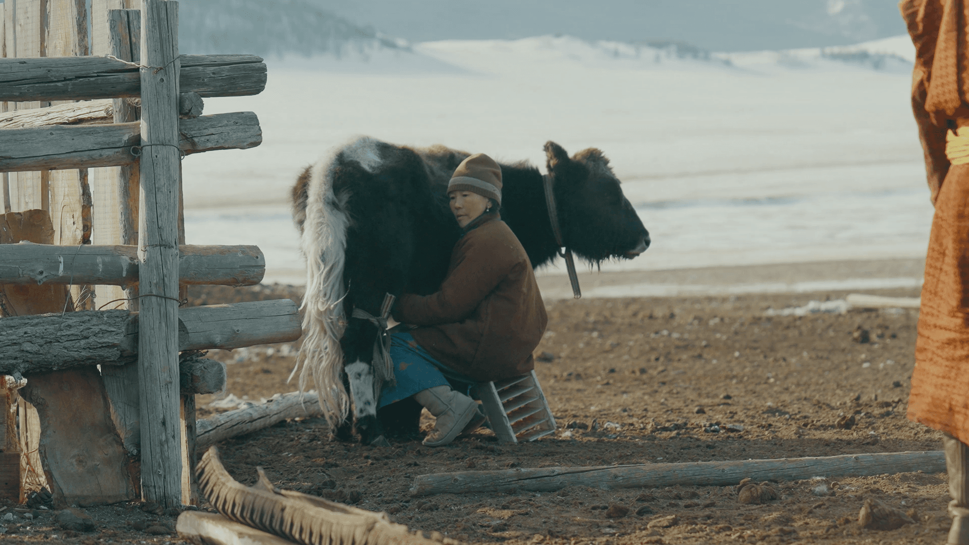 Mongolia Wild Food of The World