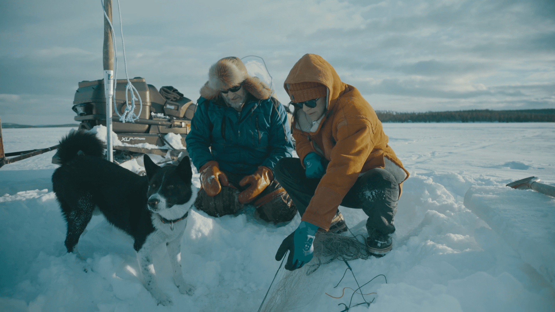 Lapponia Wild Food of The World