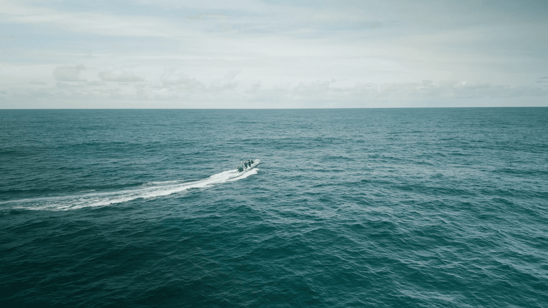 Azzorre Oceano Wild Food of The World