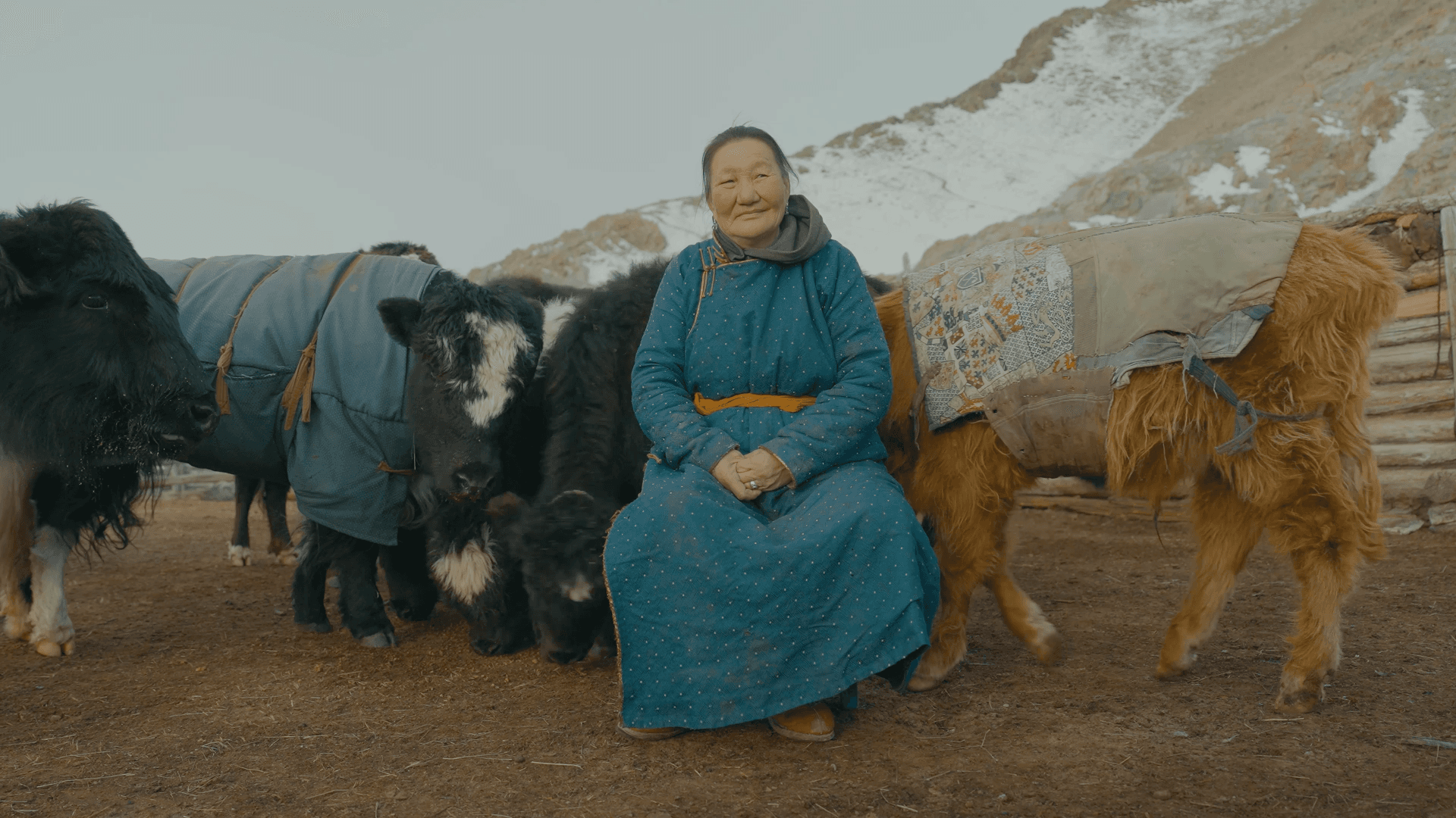 Mongolia Fattoria Wild Food of The World